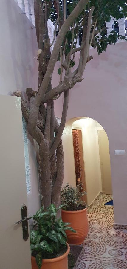 Surf Riad Тагазут Екстериор снимка
